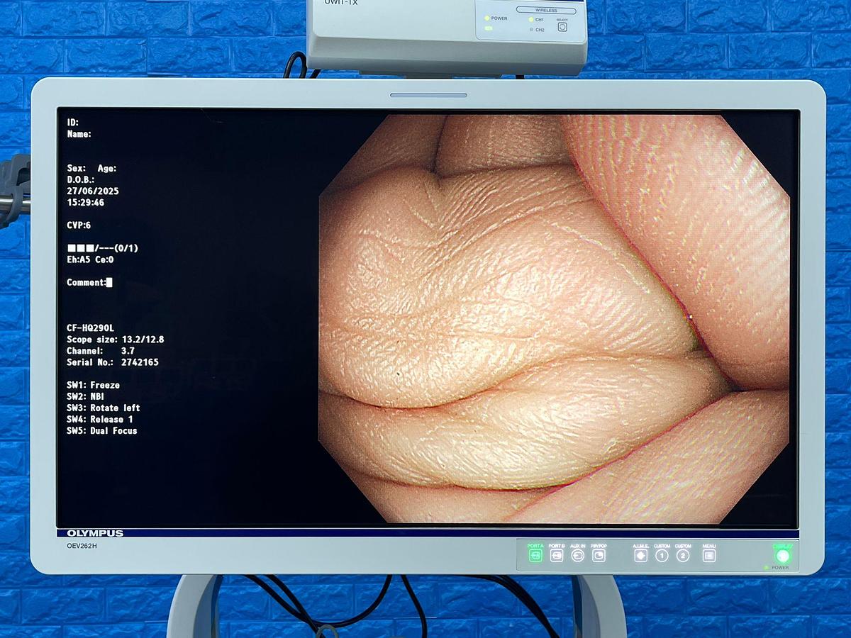 Used Olympus CF-HQ290L Colonoscope