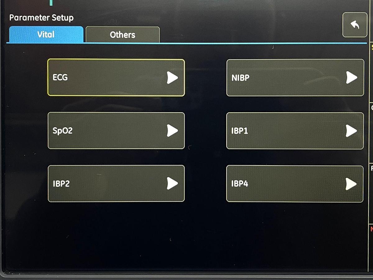 Used GE B125 Patients Monitor YOM: 2020 Include E-miniC Gass Module Without battery.