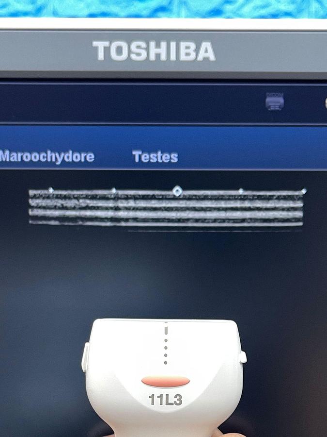 Used Toshiba Ultrasound Aplio 500 YOM: 2015