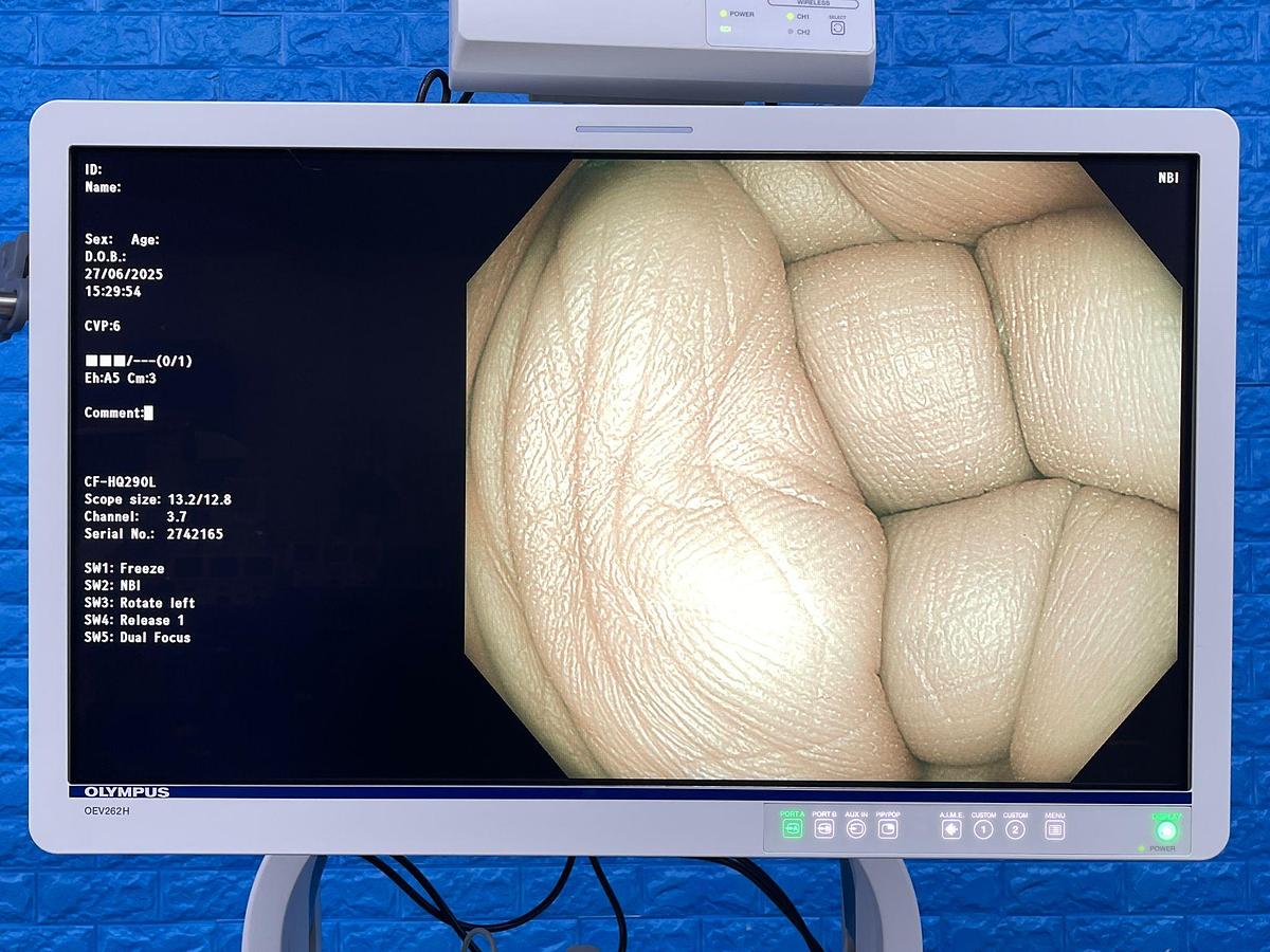 Used Olympus CF-HQ290L Colonoscope