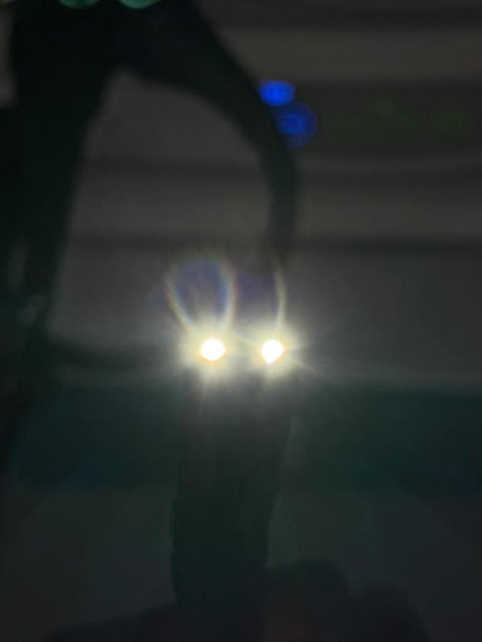Used