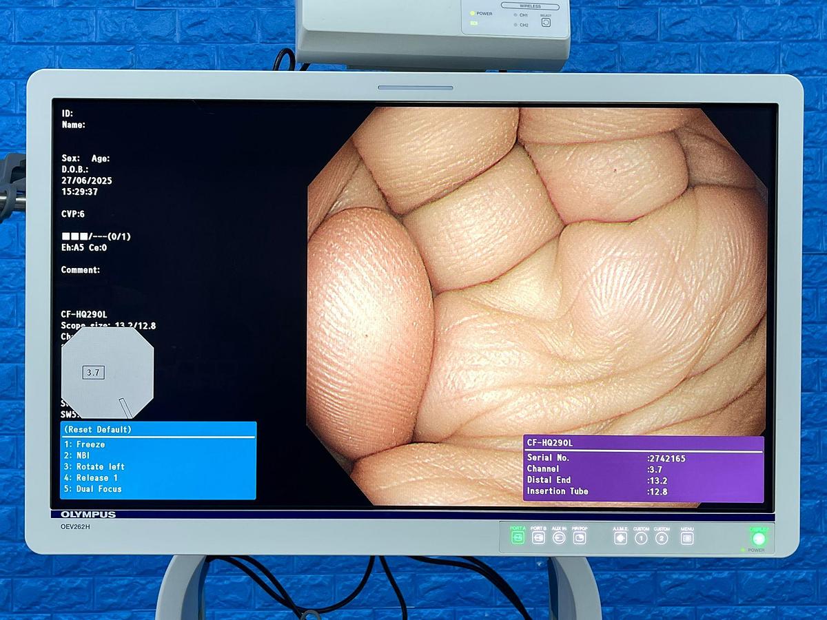 Used Olympus CF-HQ290L Colonoscope