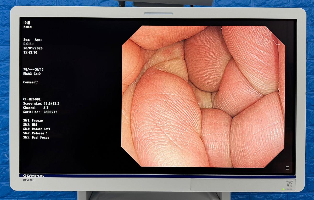 Used Olympus OEV262H LCD Monitor  