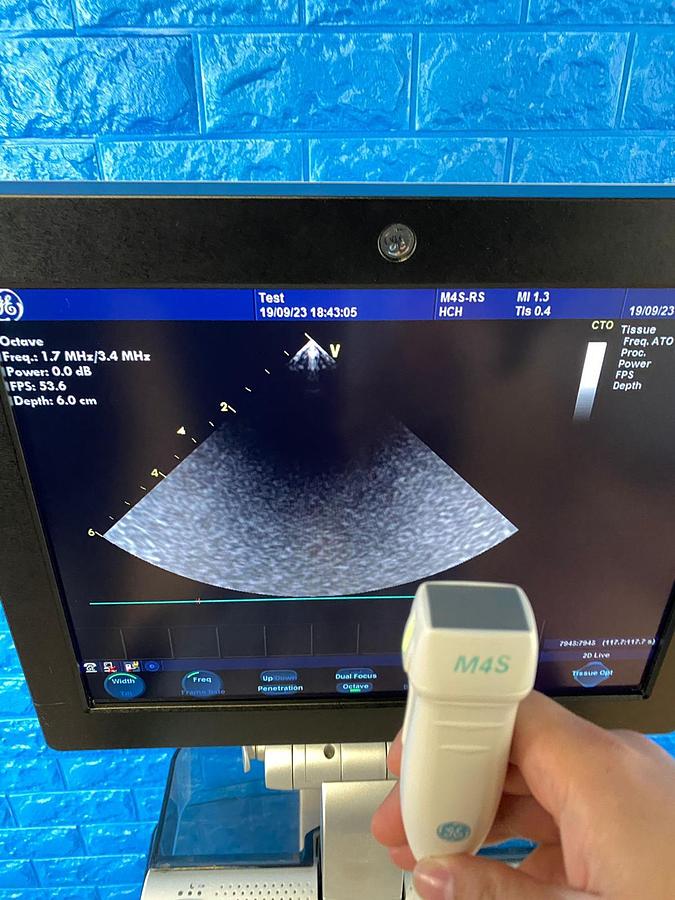 Used GE Vivid S6 Cardiovascular ultrasound system YOM: 2013