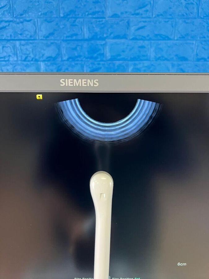 Used ACUSON/SIEMENS S1000 YOM