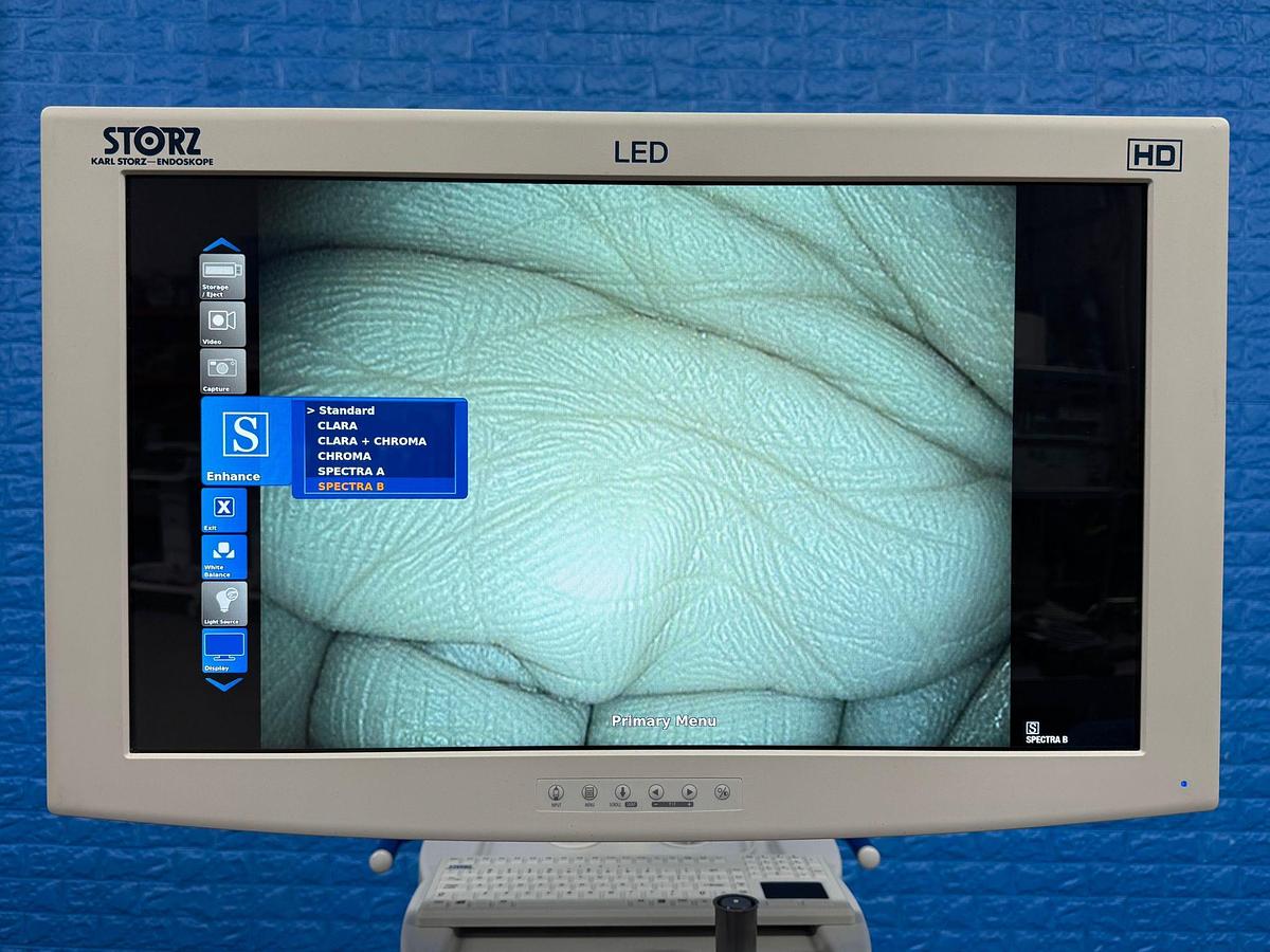 Used Karl Storz 13821 PKS Gastroscope