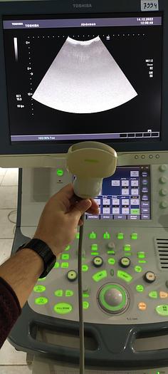 Gebraucht Toshiba PVT-375BT konvex Ultraschallsonde