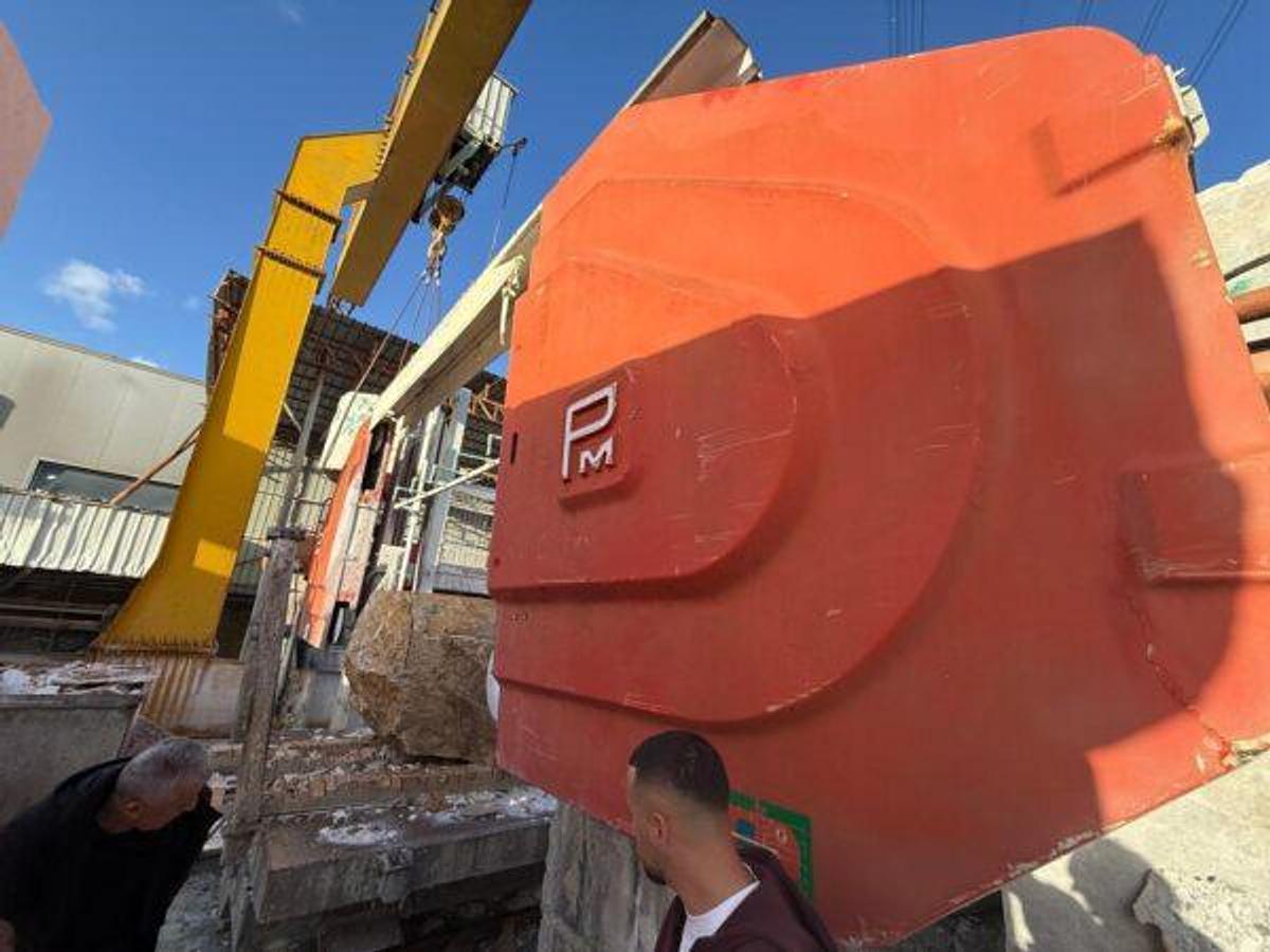 Usato WIRE SAW PELLEGRINI DF2000 ( )