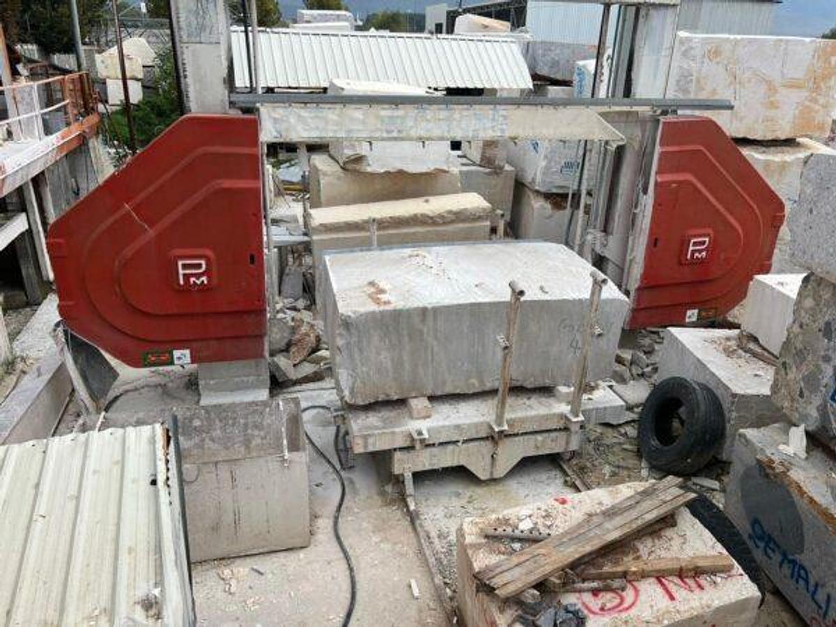 Usato FILO DIAMANTATO PELLEGRINI DF2000 (Ref. MF2510)