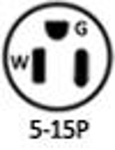 Countertop Food Cooker / Warmer - 120V, 1500W