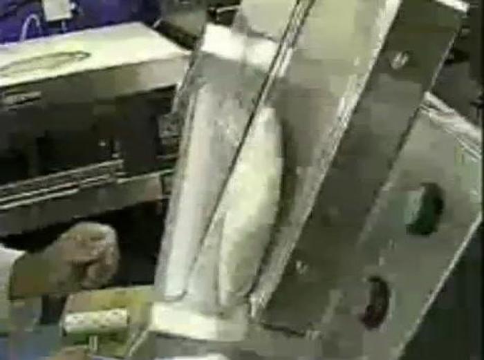 Doyon DL18DP Countertop 18" Dough Roller Sheeter, 250 Pieces/Hour - Two Stage, D