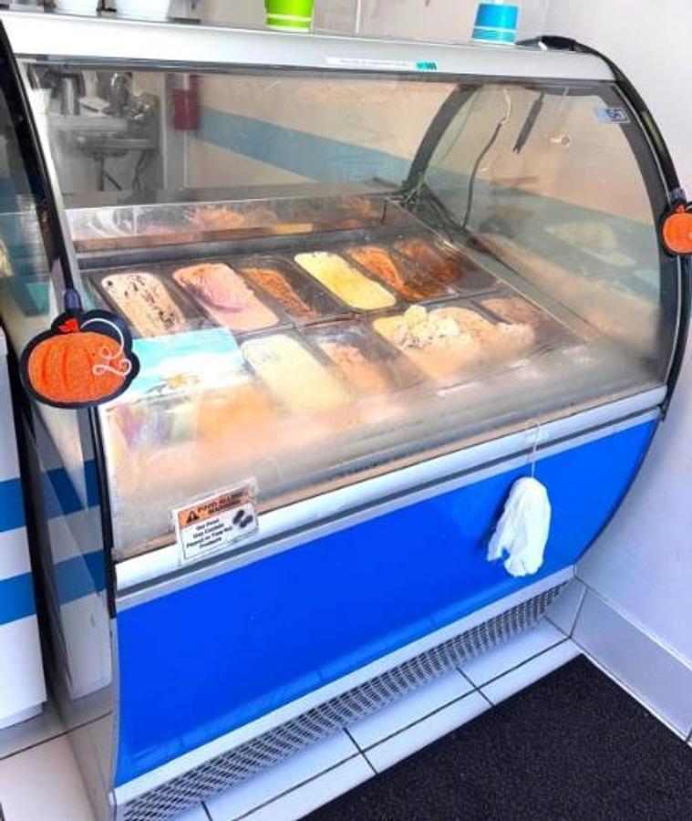 Used Curved Glass Italian 16 flavor Gelato Cabinet