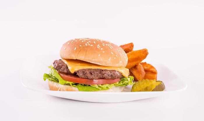 Instant Burger - no vent required - burgers - dogs -sausage patties and lots mor