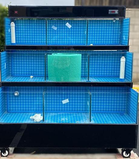 3 tier seafood tanks - crab - lobster - mussels -oysters etc. 9 compartments