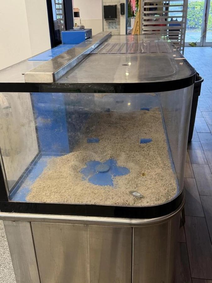 Used STARK REFRIGERATED SS LOBSTER TANK W/ALL PUMPS