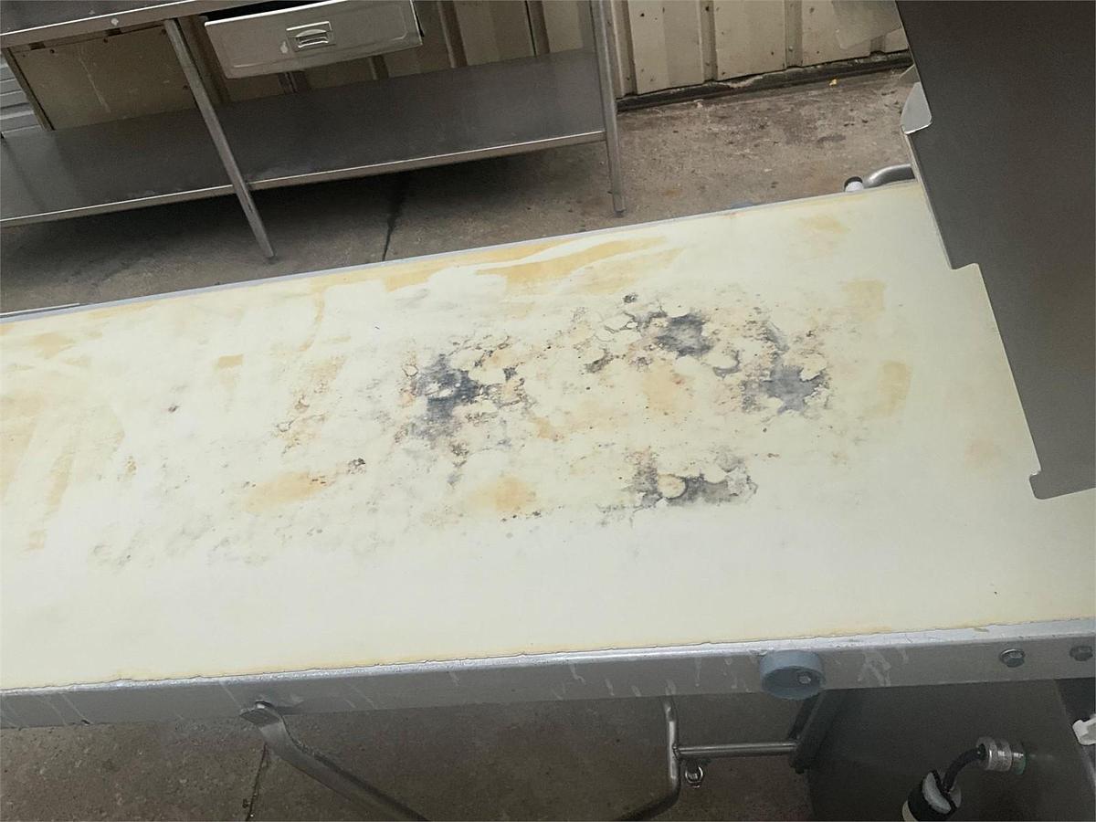 Used Rondo butterfly sheeter with flour duster