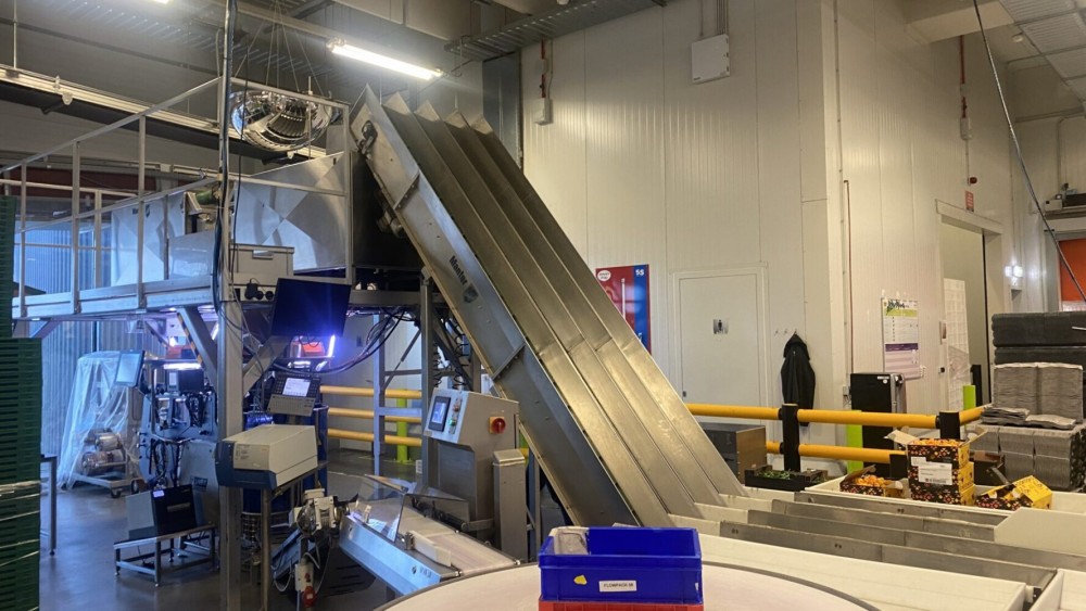 Used Manter weighing and Jasa packing line