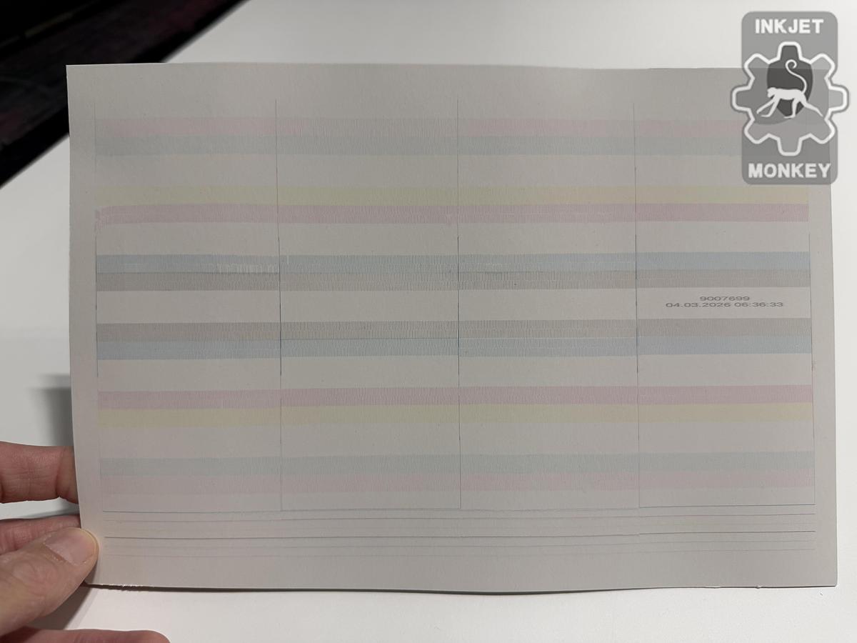 Used 2017 Durst Rho P10-250