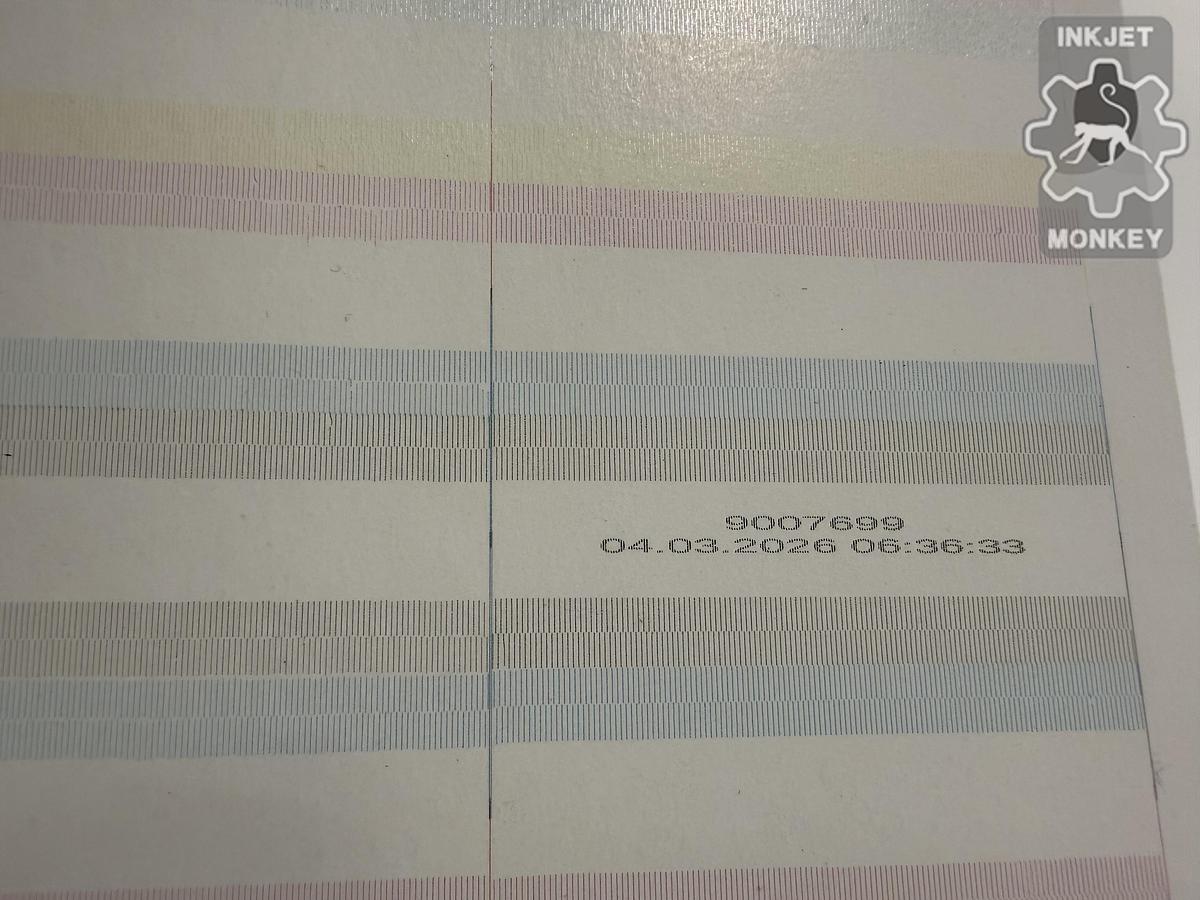 Used 2017 Durst Rho P10-250