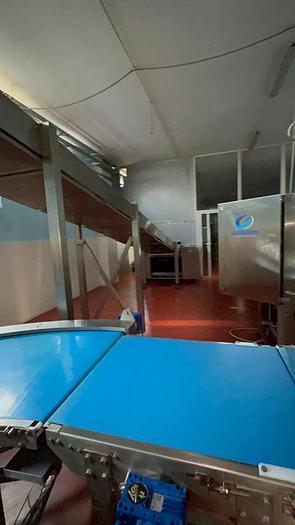 Used automatic cake line 500 kg/hr