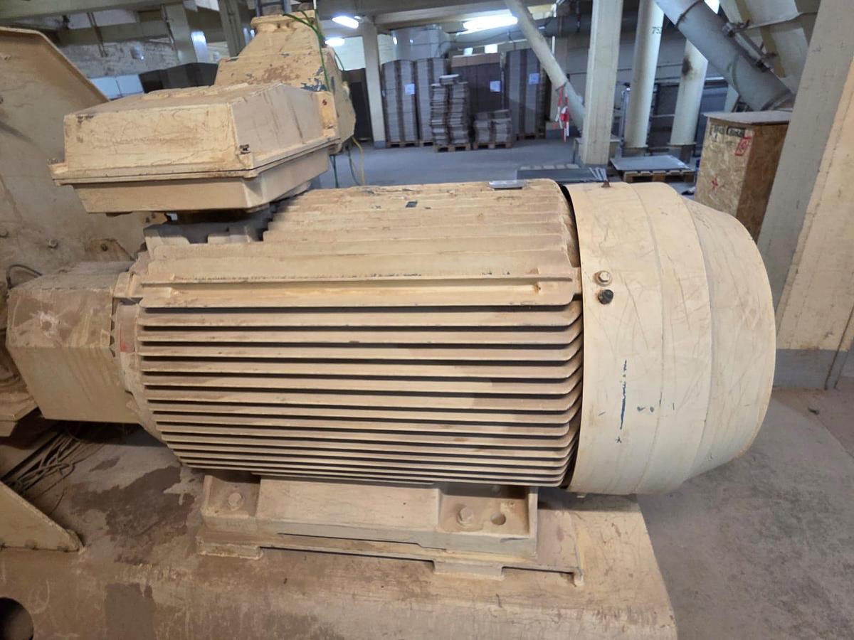 Used Tietjen GDL 20 Hammer Mill 