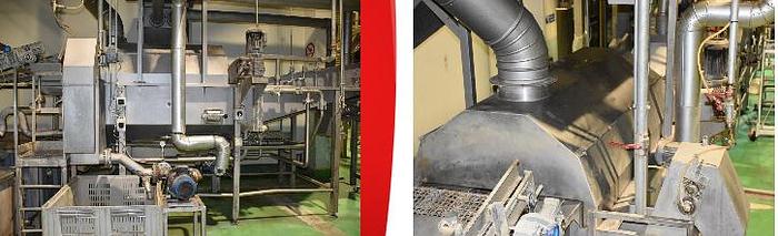 Used CHIPS LINE 420 Kg/h