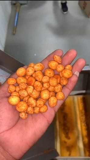 Used 2019 NP- Japan continuous coated peanuts line (300 - 400 kg/hr)