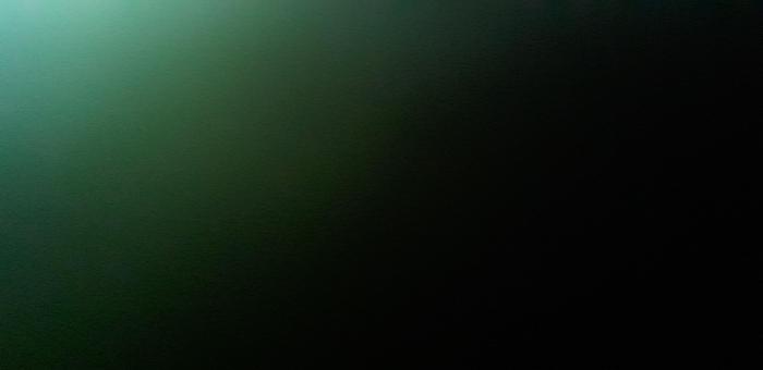 Used 2004 plant for waste wood processing