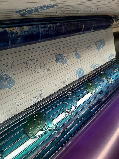 Used Flexo printer for freshpacks