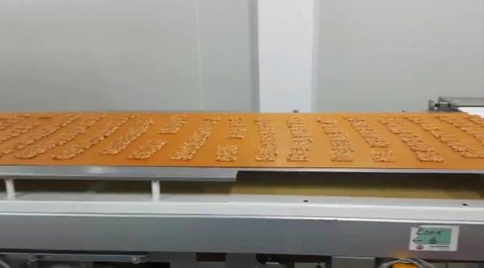 Used Sollich automatic line for granola bars