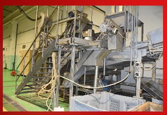 Used CHIPS LINE 420 Kg/h