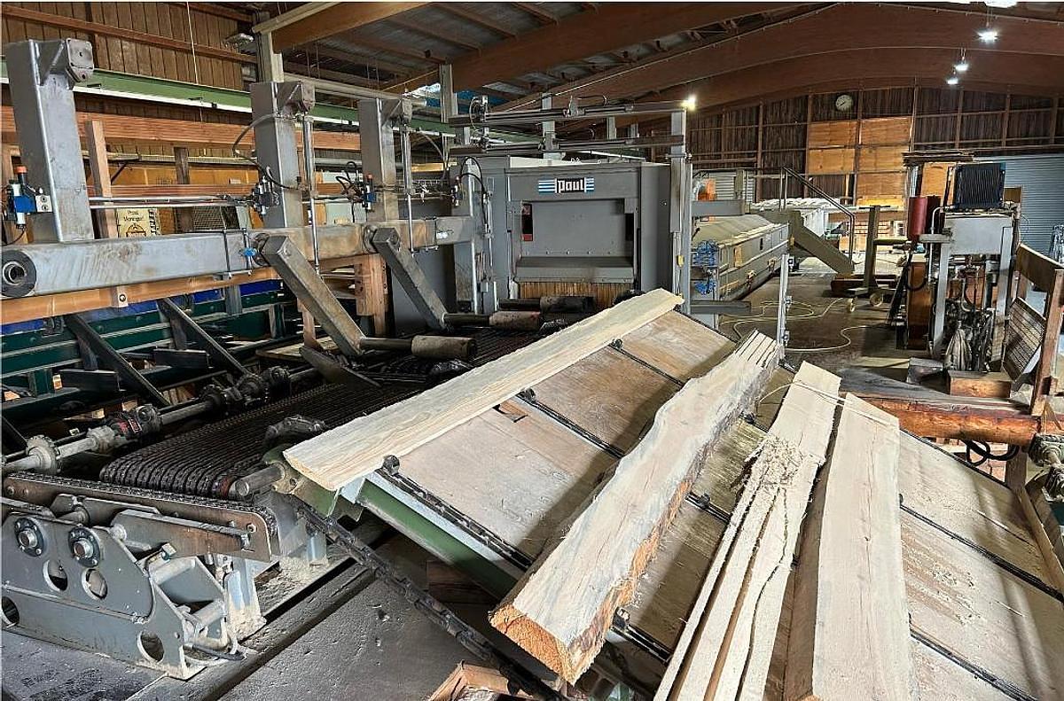 Used Used Complete Sawmill Line- Mohringer and Paul -