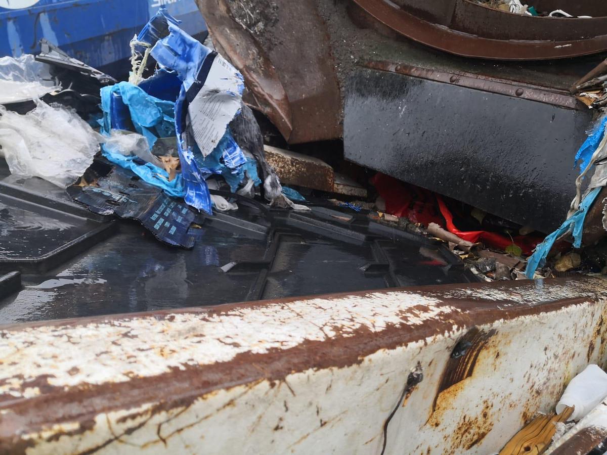 Used Doppstadt SM 620