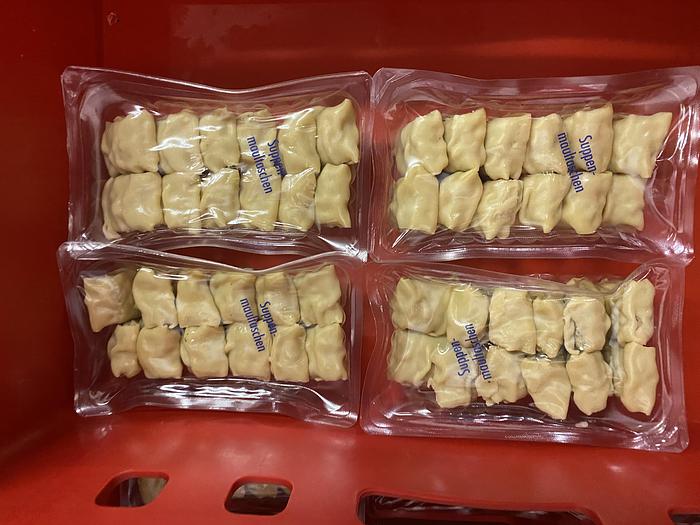 Used 2007 Multivac R240