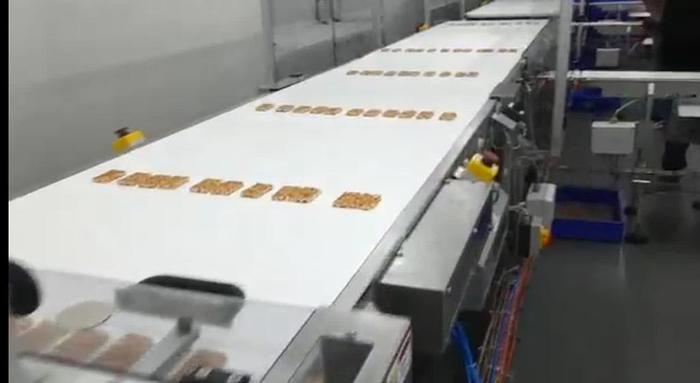 Used Sollich automatic line for granola bars