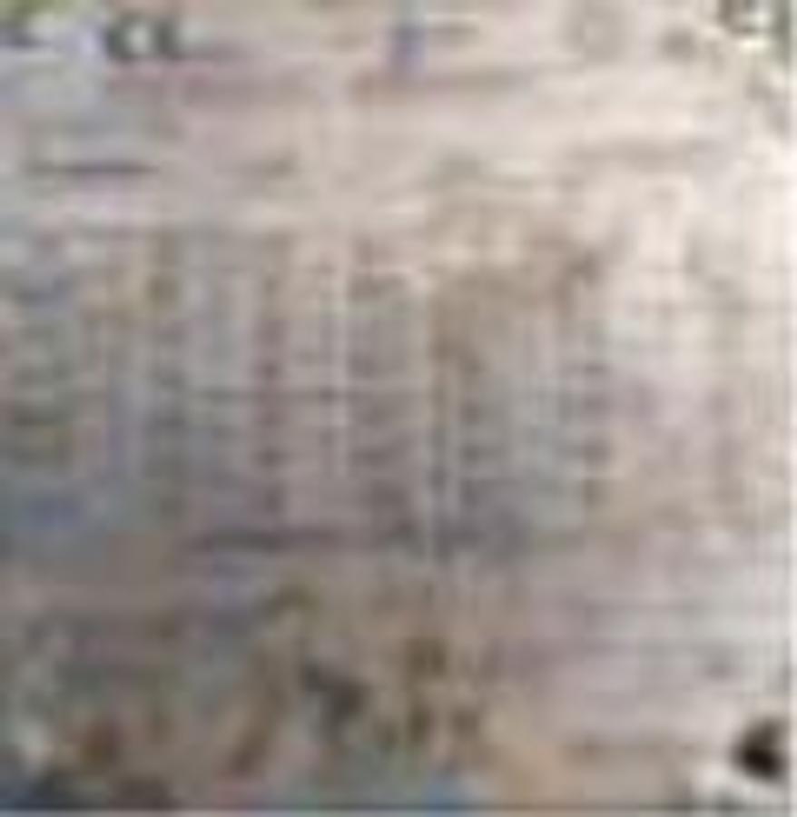 Used 2011 Pieralisi Jumbo 2 ATEX Decanter Centrifuge 