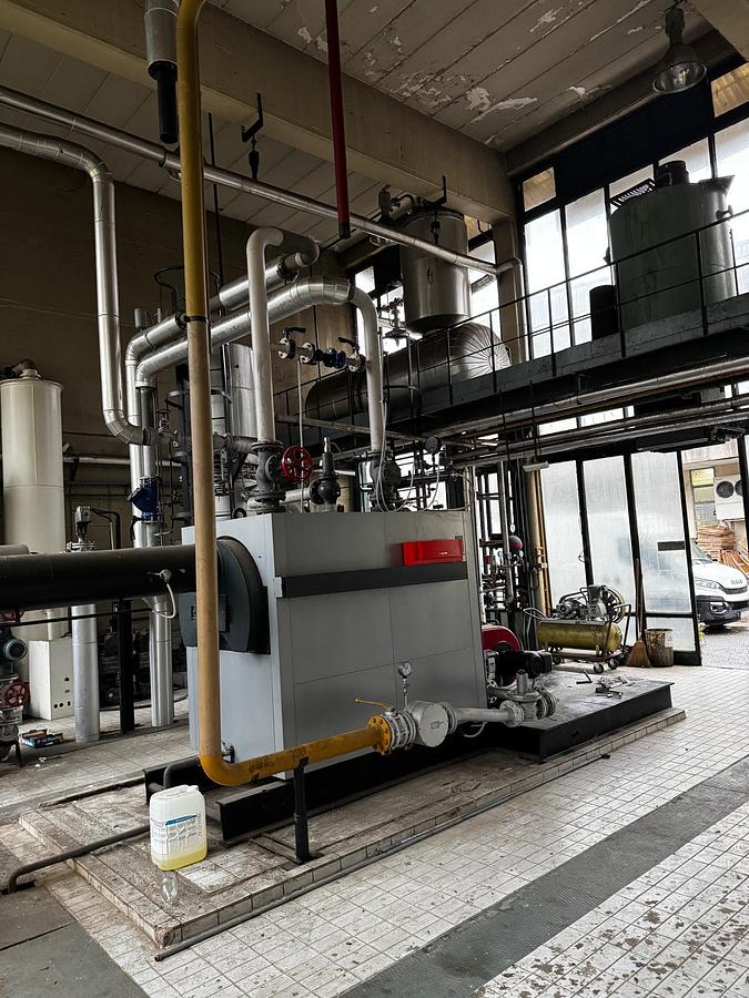 Used Viessmann  Vitoplex 100