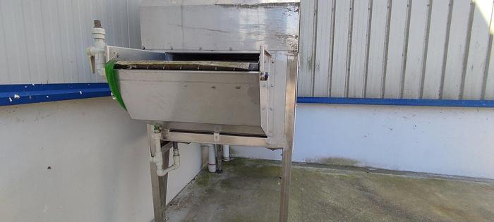 Used Luciano Cocci Clams Cleaning Machine