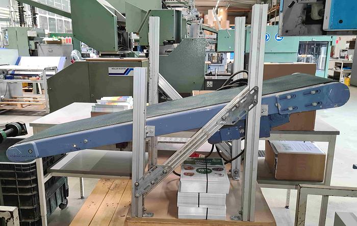 Used Chain conveyor