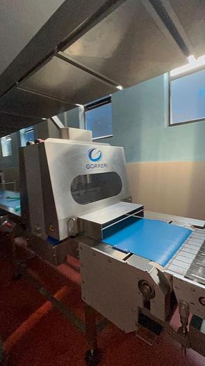 Used automatic cake line 500 kg/hr