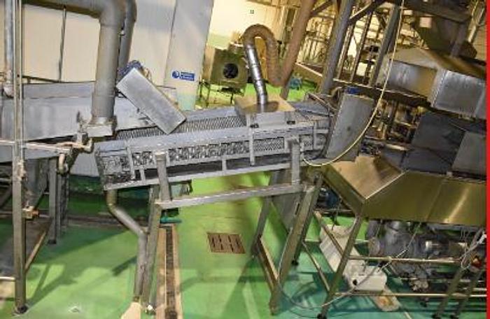 Used CHIPS LINE 420 Kg/h