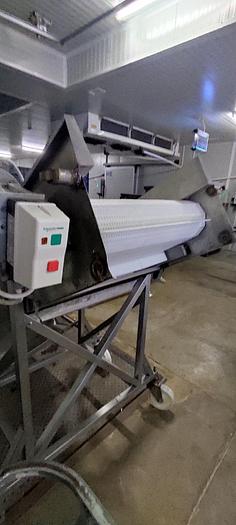 Used Luciano Cocci Clams Cleaning Machine