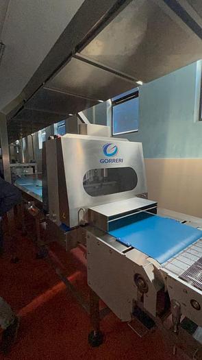 Used automatic cake line 500 kg/hr