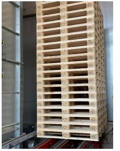 Used 2007 Roland Terwort Pallets production line