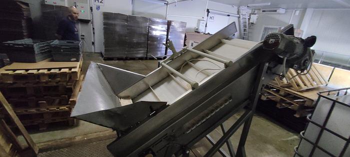 Used Luciano Cocci Clams Cleaning Machine