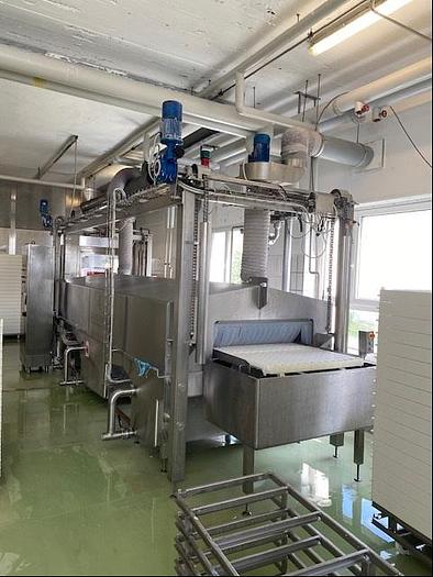 Used Colussi Wash tunnel