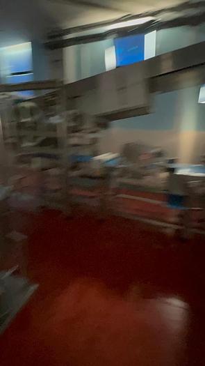 Used automatic cake line 500 kg/hr