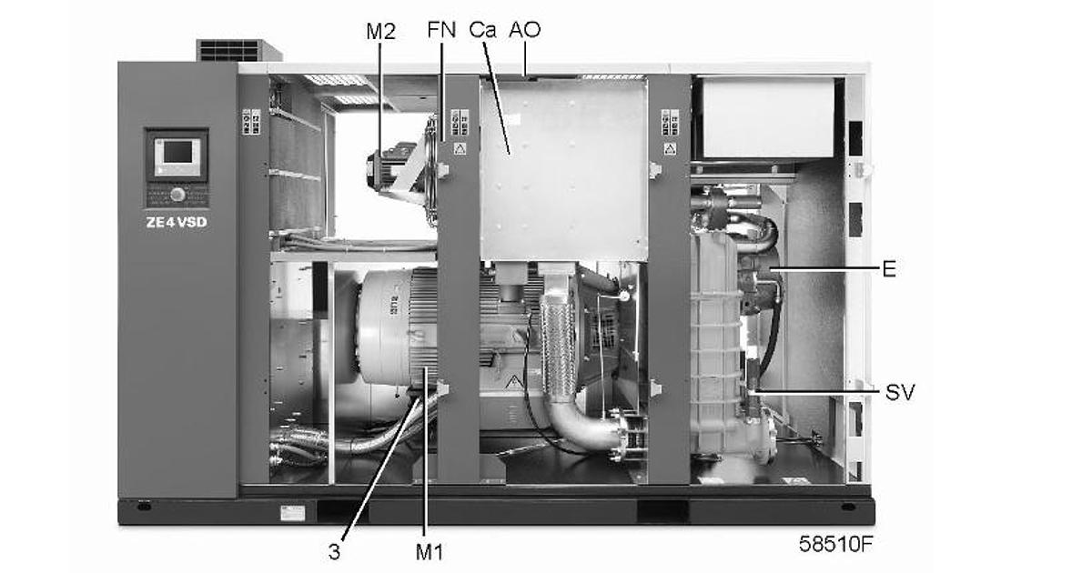 3カートン　専用 Characterization and Bioactive Metabolite Profiling of