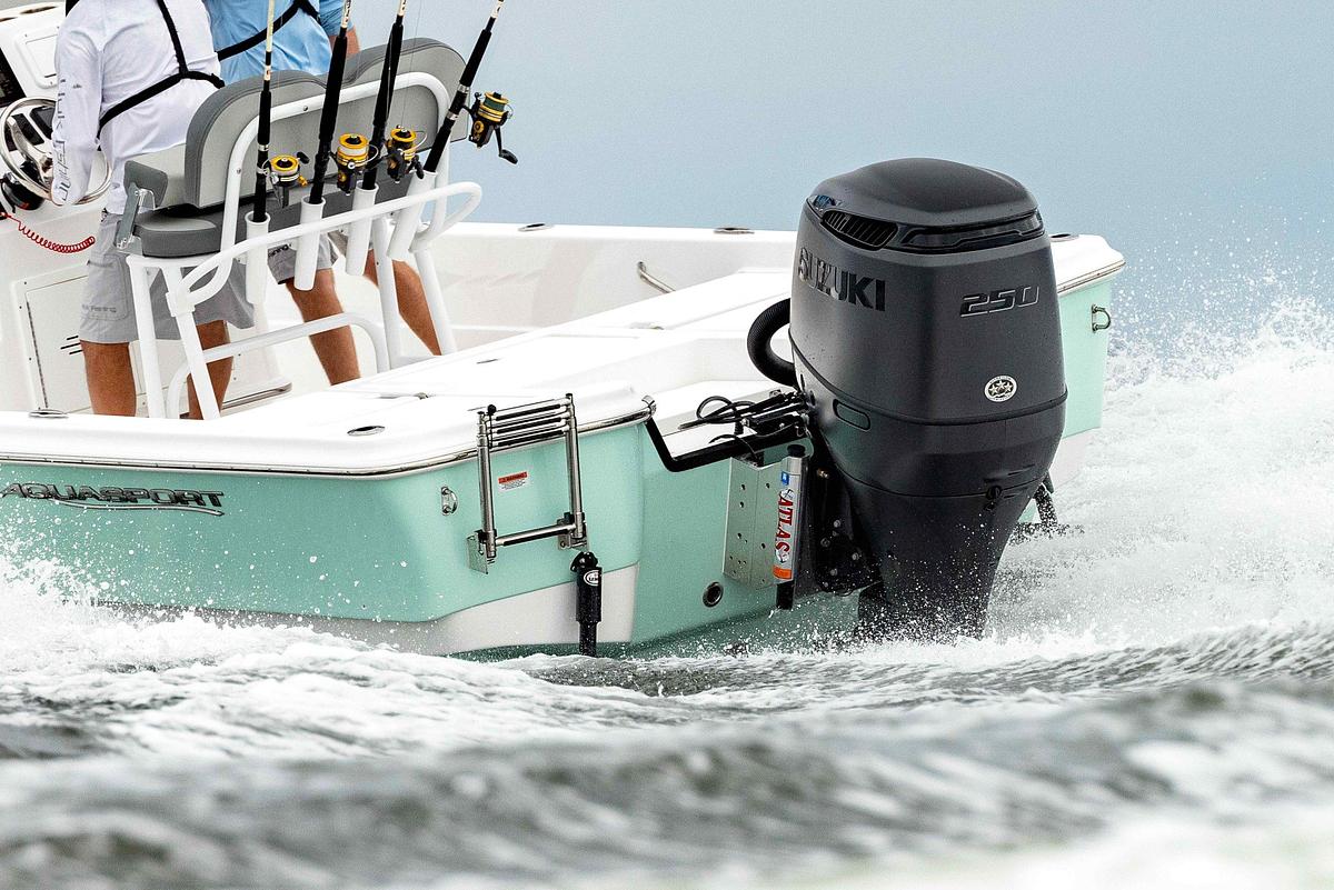 2026 Suzuki DF250 Stealth