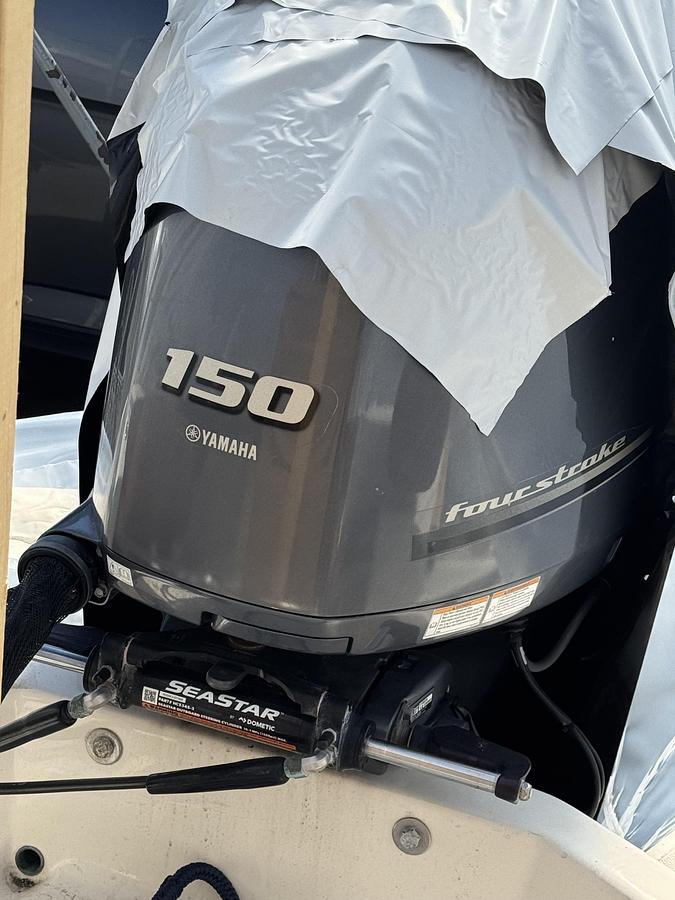 Used 2022 Pioneer 202 Sport